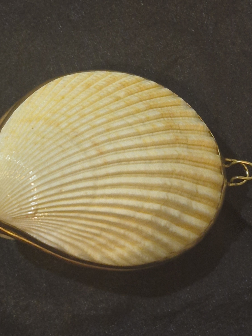 Vintage Natural Calico Clamshell Hinged Trinket Box - Brass Trimmed Shell Art